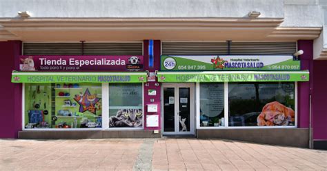 hospital veterinario tomares|Hospital Veterinario Mascotasalud